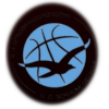 https://img.7075.org.cn/img/basketball/team/1a45d903dafdcc026ec9809d9916a681.png